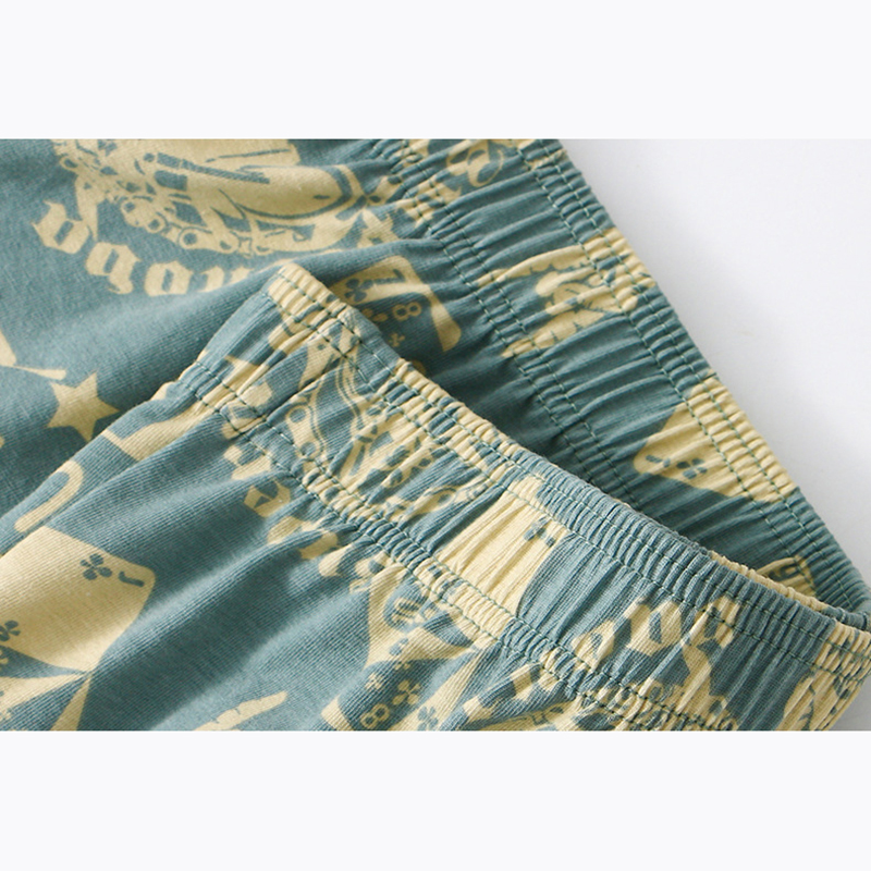 1 قطعة رجل آرو السراويل القطن  - مراجعة Boxer Brief Pack Cotton وسعره