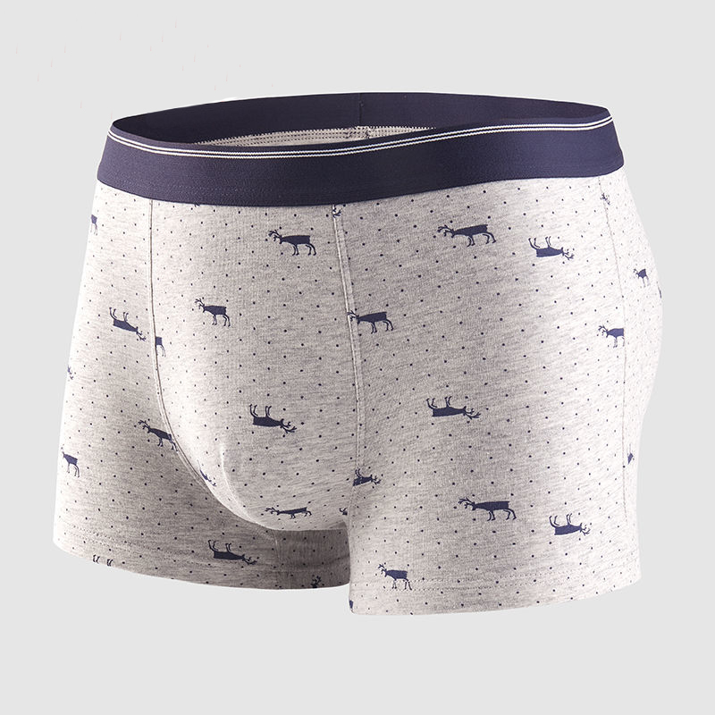 4 قطعة/الوحدة الملاكم السراويل - مراجعة Multi Pack Underwear وسعره